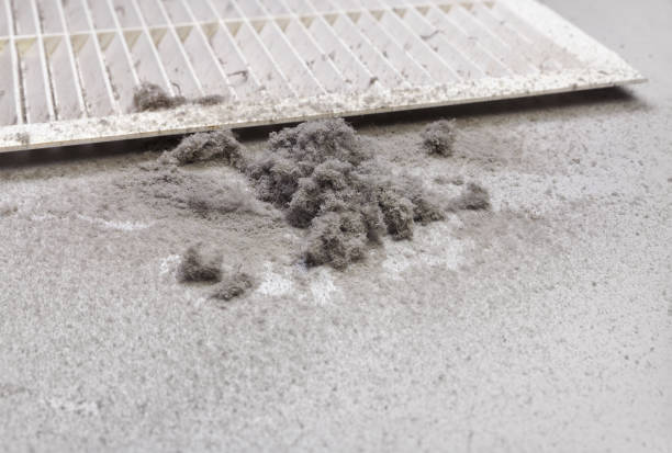 Best Duct Cleaning for Offices  in Rock Hall, MD