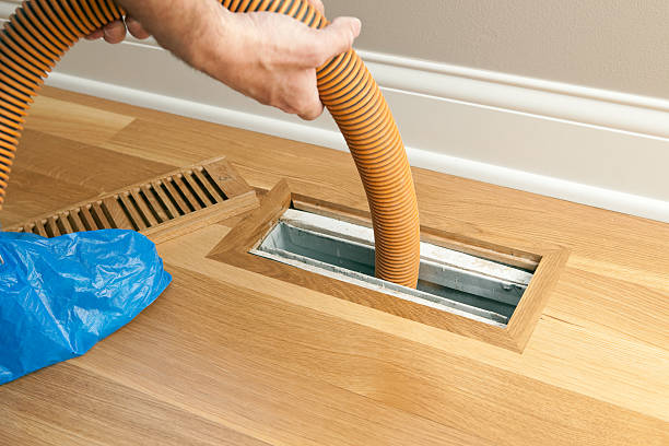Best Home Air Vent Cleaning  in Rock Hall, MD